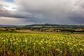 2017_08_10_Auvergne (0115)